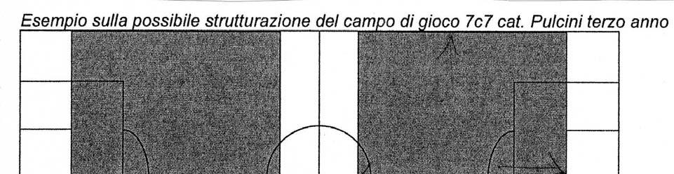 Dimensioni del campo: LATO TRASVERSALE - da area