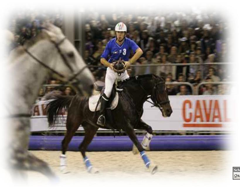 l equitazione che diverte Modena, 30 Novembre 1 dicembre 2013 1 Campionato Nazionale SEF