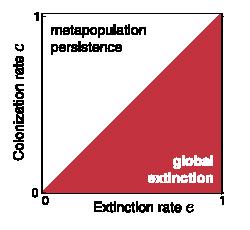 e = tasso di estinzione c = tasso di colonizzazione EFFETTI DEGLI OSTACOLI Le principali conseguenze della presenza degli