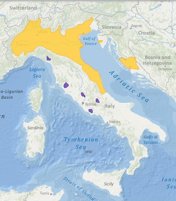 EFFETTI POSITIVI DEGLI OSTACOLI