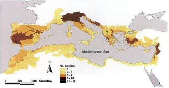 di specie e un numero di specie ittiche endemiche particolarmente