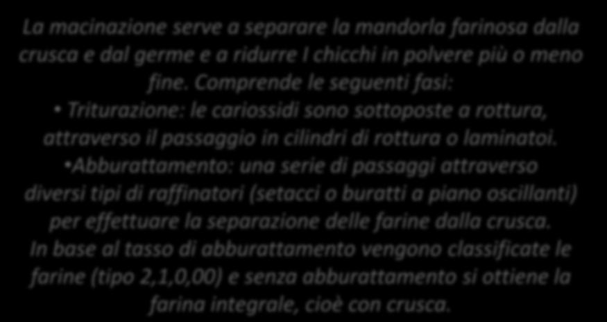 fine. Comprende le seguenti fasi: Triturazione: le cariossidi sono sottoposte a rottura, attraverso il passaggio in