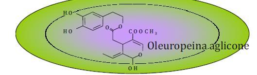 Fenoli e