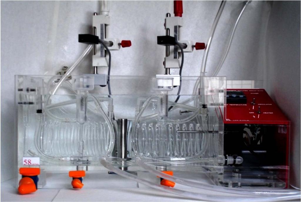 MISURE TENSIOMETRICHE: analisi della motilità in vitro Bagni termostatati e trasduttori isometrici Variazione di
