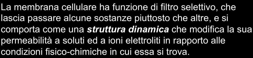 BIOELETTRICITÀ La membrana cellulare ha funzione di filtro selettivo, che lascia