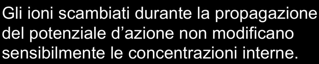 Con questo meccanismo il potenziale d azione si propaga