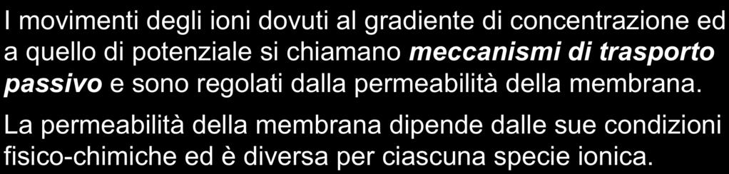 BIOELETTRICITÀ Il passaggio degli ioni fra i due liquidi separati dalla membrana è governato da tre differenti fattori: ü