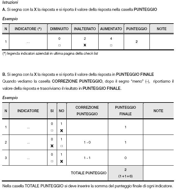 ISTRUZIONI COMPILAZIONE CHECK LIST L équipe valutativa può compilare una scheda unica per l azienda oppure per livelli di complessità organizzativa più elevata, può decidere di utilizzare la check