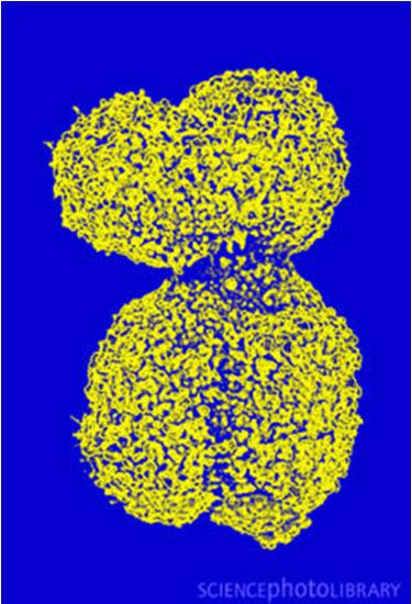 05/02/2014 E.Menichetti - Univ. di Torino 28 Rivelare per vedere Microscopio elettronico: invece di sparare luce sull oggetto, spariamo elettroni veloci Funziona perche anche gli elettroni sono onde!