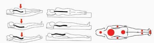 Toso di indicare le caratteristiche che deve possedere un letto ergonomico per consentire un riposo ergonomicamente corretto ed egli così ha risposto: Per il benessere della colonna vertebrale non è