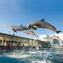 1 Riservato agli esploratori di mari e di terre Scuole secondarie di I e II grado Acquario di Genova: ingresso e visita guidata (1h30) + Galata Museo del Mare: ingresso Prezzo a studente: Bassa