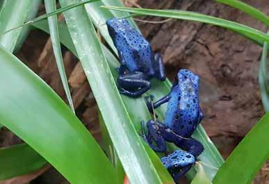 approfondire la biologia e l ecologia delle principali specie che lo abitano.