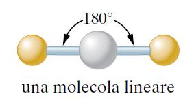 La FORMA delle MOLECOLE Quando una molecola è costituita da due soli atomi, non vi è alcun dubbio sulla sua forma: gli atomi sono semplicemente disposti uno accanto all altro.