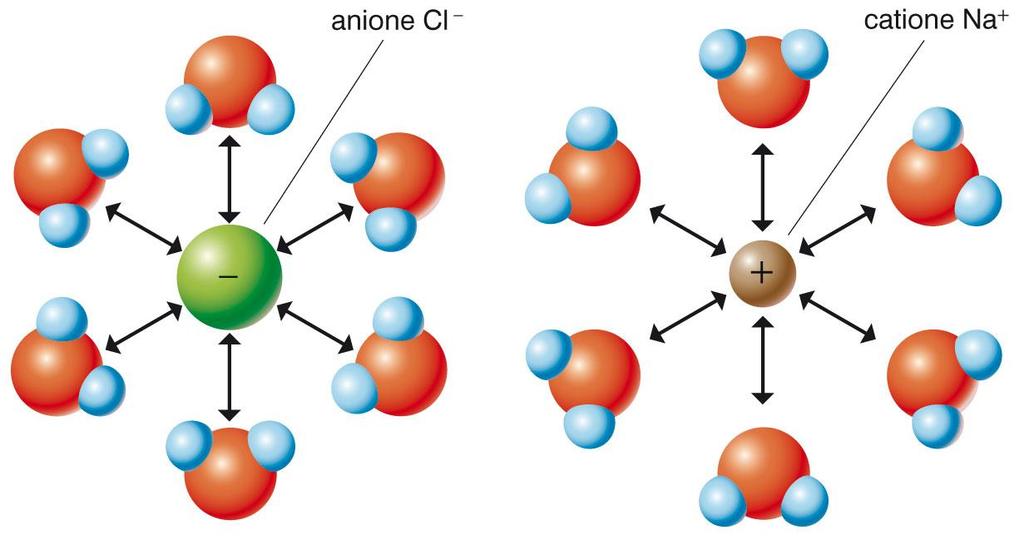 sostanze che hanno polarità simile: solventi polari sciolgono