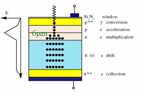 III Il calorimetro elettromagnetico Figura 3.6: La struttura di un Avalanche PhotoDiode.