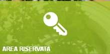 Accesso Area Riservata Per procedere all inserimento del modello DF RED il pensionato è tenuto ad accedere nell Area Riservata del sito della CIPAG (http://www.cassageometri.it).