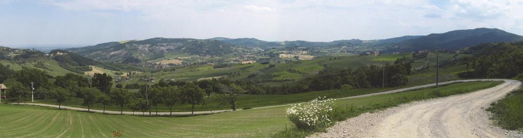 Pieve romanica di S. Vitale e gli oratori di S.M. Maddalena e di S. Michele; sui versanti si trovano grandi case signorili, insediamenti rurali e piccoli borghi.