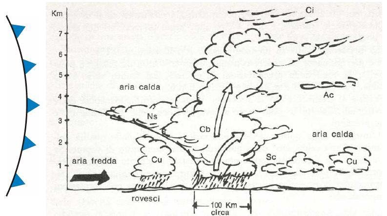 Fronte freddo L aria calda si solleva rapidamente incalzata dal fronte freddo e dà