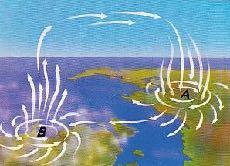 Il vento E il movimento dell aria sulla superficie terrestre Unità di misura: m/sec Si misura con l anemometro E un fenomeno naturale che