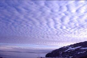 Osservazione delle nuvole Altocumuli Stesse quote degli altostrati; Banchi di lamelle o masse tondeggianti di colore