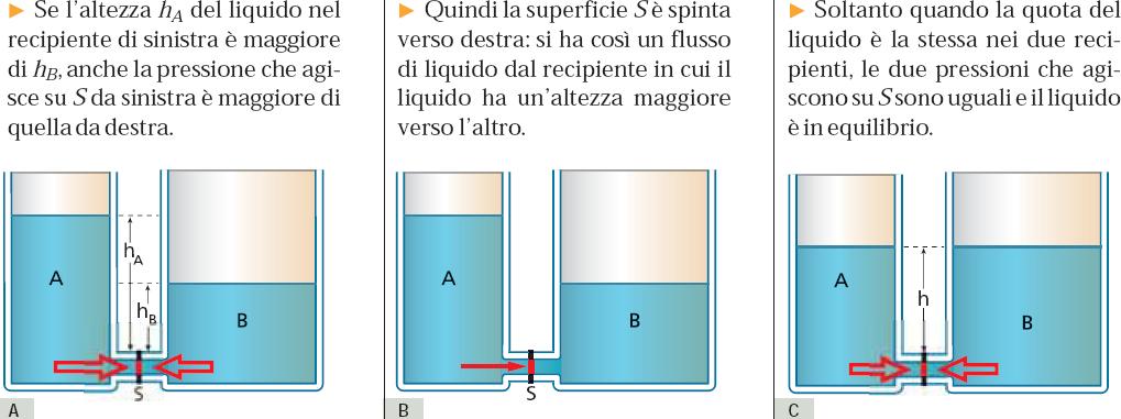 Vasi comunicanti Un liquido versato in un sistema di vasi