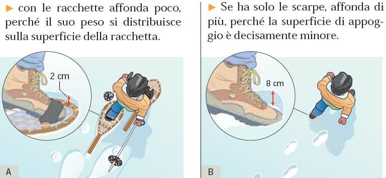 La pressione e le sue leggi La stessa forza può avere effetti diversi a