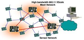 micro-servers Networked