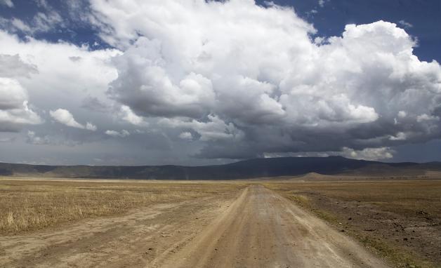 GIORNO 01 ITALIA - KILIMANJARO - ARUSHA Partiamo alla volta della Tanzania. All arrivo incontriamo la guida e ci trasferiamo ad Arusha. Pernottamento. Arusha Arusha è una città di circa 300.