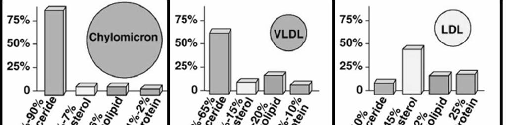 LE LIPOPROTEINE SONO