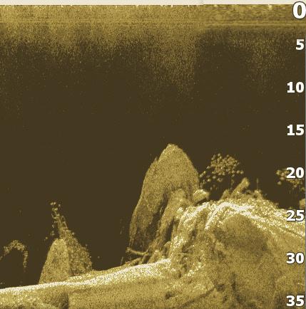 Pagine Archi di pesce Surface Clutter (Eco parassita superficiale) Pesce esca Disturbi superficie Profilo Fondale Pagina Sonar Scala intervallo Questa pagina mostra la colonna d'acqua in movimento da