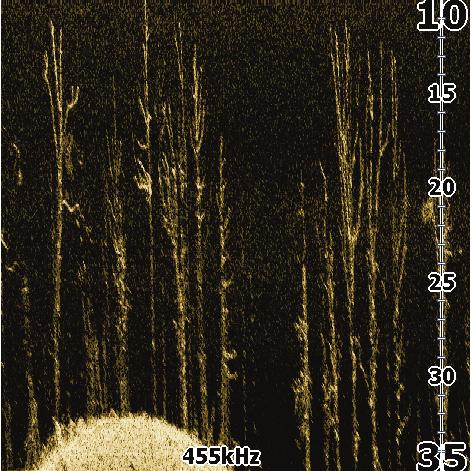 Frequenza Controlla la frequenza del trasduttore utilizzata dall'apparato. L'impostazione 800 khz assicura la migliore risoluzione, mentre 455 khz assicura una maggiore copertura della profondità.