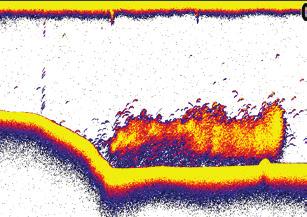 Opzioni sonar Trasparenza superficie La funzione