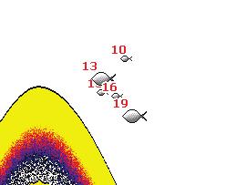 Le opzioni DownScan sono descritte più in dettaglio nella sezione Funzionamento del DownScan.