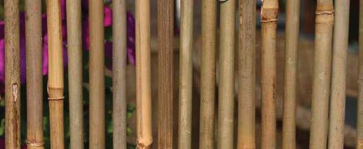 Articolo: EG54213 ARELLA BAMBU INTERA TIME realizzata con cannette di bambù Ø8-10mm, legate con filo zincato. Ean.