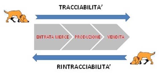 mezzo Predisposizione di sistemi di rintracciabilità