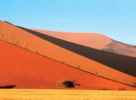 Proseguimento per la regione del Damaraland percorrendo inizialmente la costa atlantica dove visitiamo la colonia di otarie di Cape Cross e il sito dove Diego Cao sbarcò nel 1486.