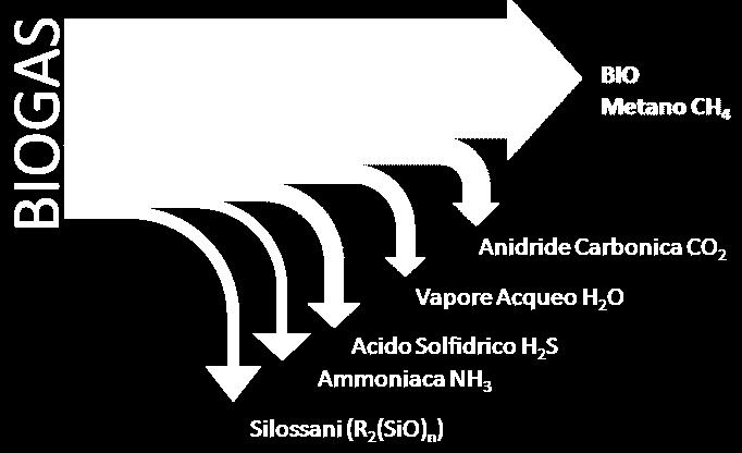 percentuali variabili di anidride carbonica (CO 2 ), vapore acqueo (solitamente saturo), idrogeno solforato