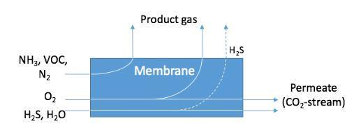 Tecnologie di upgrading del biogas