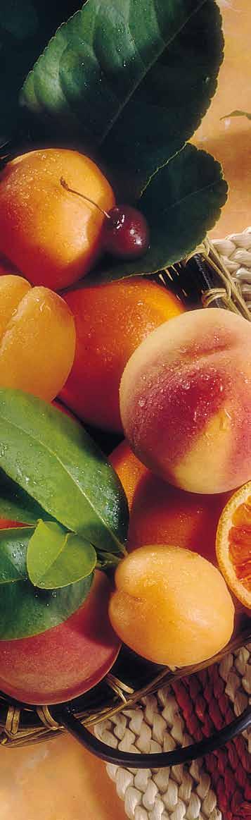Albicocca Frutti di bosco CONFETTURA ALBICOCCA EB114 vaschetta g 25 120
