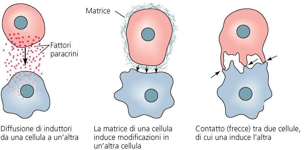 Interazioni