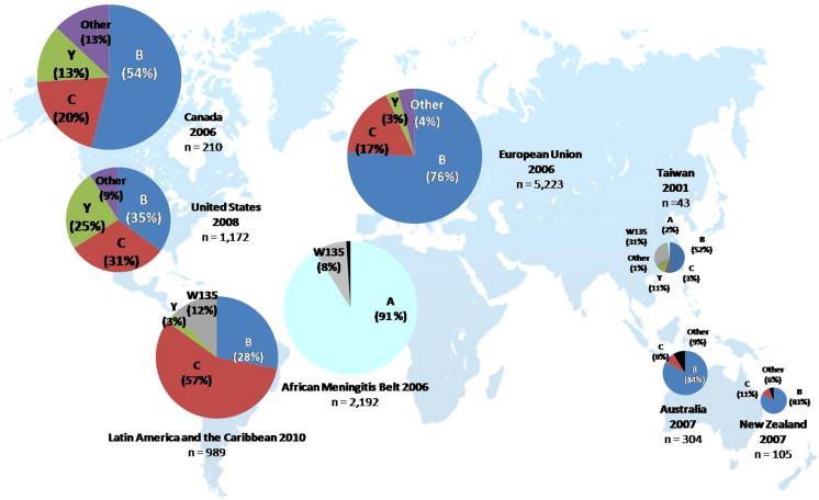 Sierogruppi del meningococco a livello globale L epidemiologia del