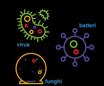 Eziologia Enterovirus Morbillo Parotite Varicella Herpes simplex West Nile Streptococco Pneumoniae Neisseria Meningitidis