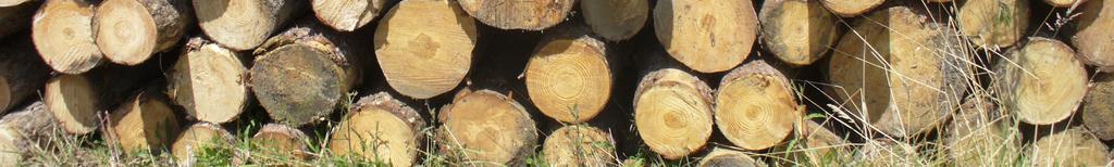 Nota. Il legname di Pino nero consumato in Italia