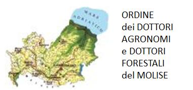 RELAZIONI GINO MENEGAZZI Ingegnere Libero professionista, esperto in ingegneria naturalistica ed autore di manuali tecnici. E-mail: gino.menegazzi@gmail.