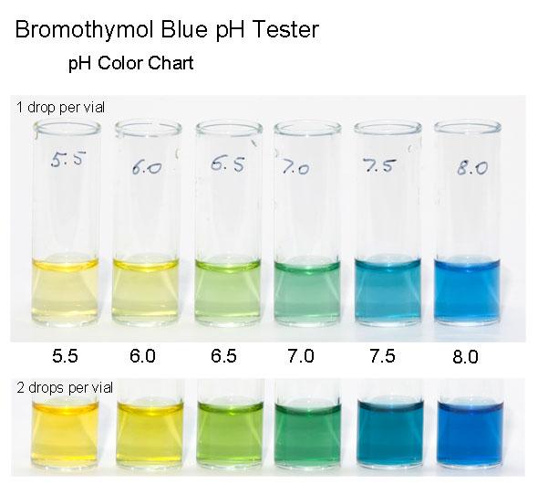 Possiamo quindi riempire il serbatoio con un liquido che cambi colore al variare della CO in modo da avere un riscontro visivo immediato sulla concentrazione della stessa.