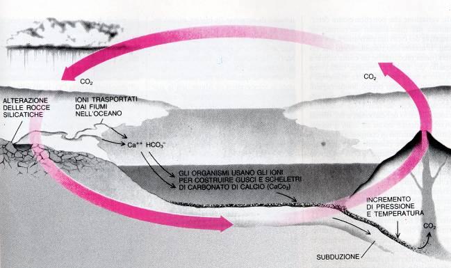 Il ciclo del carbonio Nel periodo immediatamente successivo alla formazione della Terra, la presenza di anidride carbonica (CO 2 ) era quasi sicuramente molto superiore all'attuale; nel corso del
