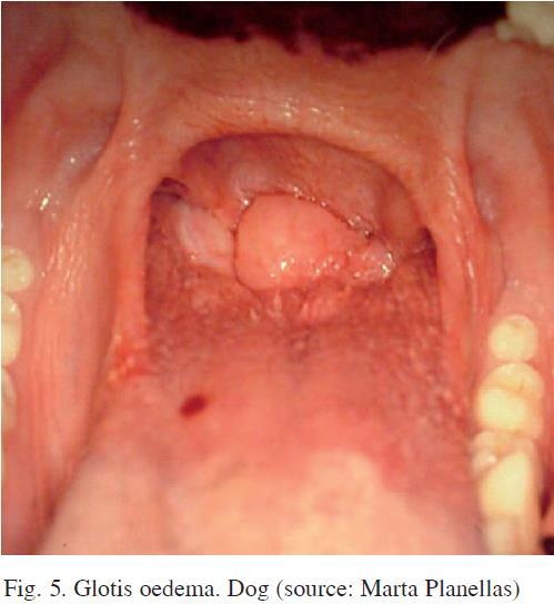 DANNI AI CANI Cianosi e necrosi della lingua (dopo 2-5 giorni), ipertermia,