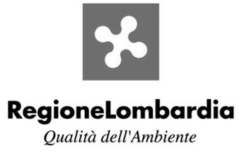 Bollettino Ufficiale della Regione Lombardia - 19-3 Suppl. Straordinario al n.