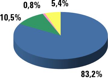 TOTALE 100% La classificazione valutaria viene effettuata sulla base dei mercati in cui i prodotti effettivamente