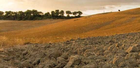 16 Quercia Noce Finiture calde, per un abitazione accogliente e di grande personalità, che nascono dalla